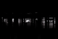 Subway Diaries